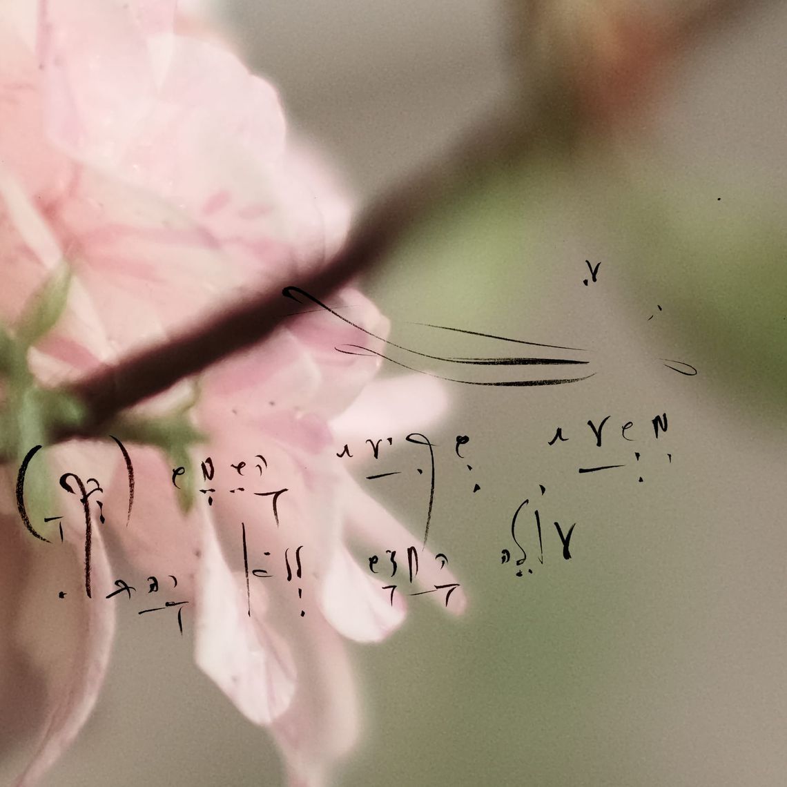 AI Is Not Here to Answer You