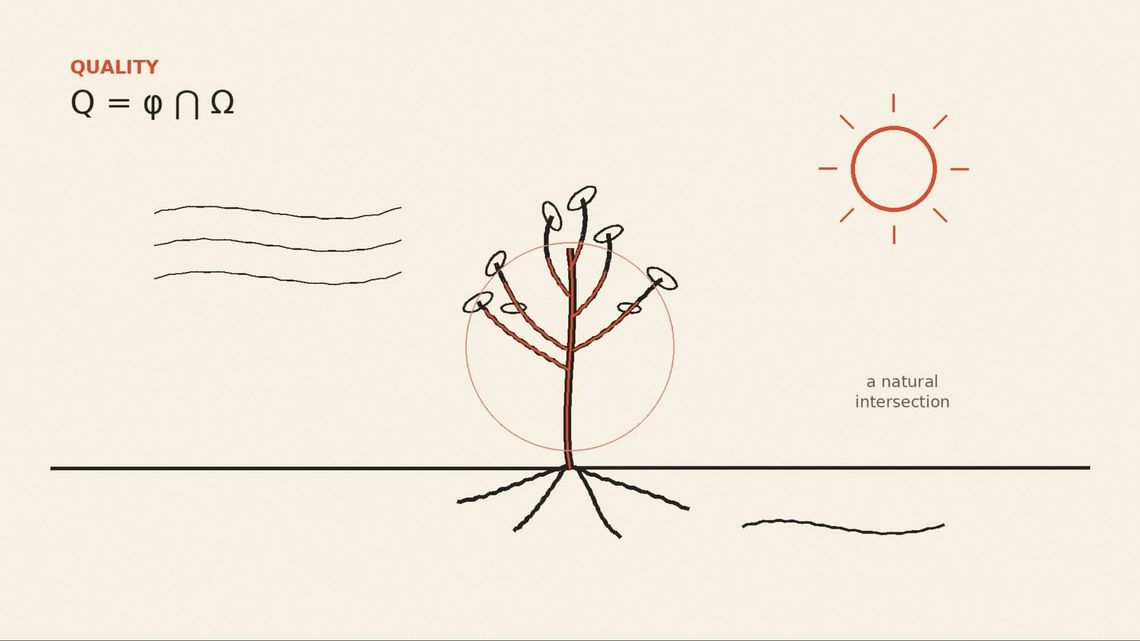 5qln language, Animated