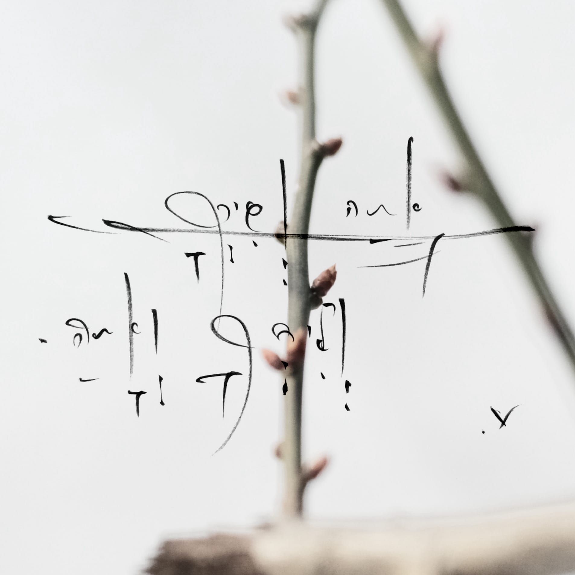 The Self-Cleaning Loop: A Demonstration of Operational Purification in AI-Human Collaborative Research