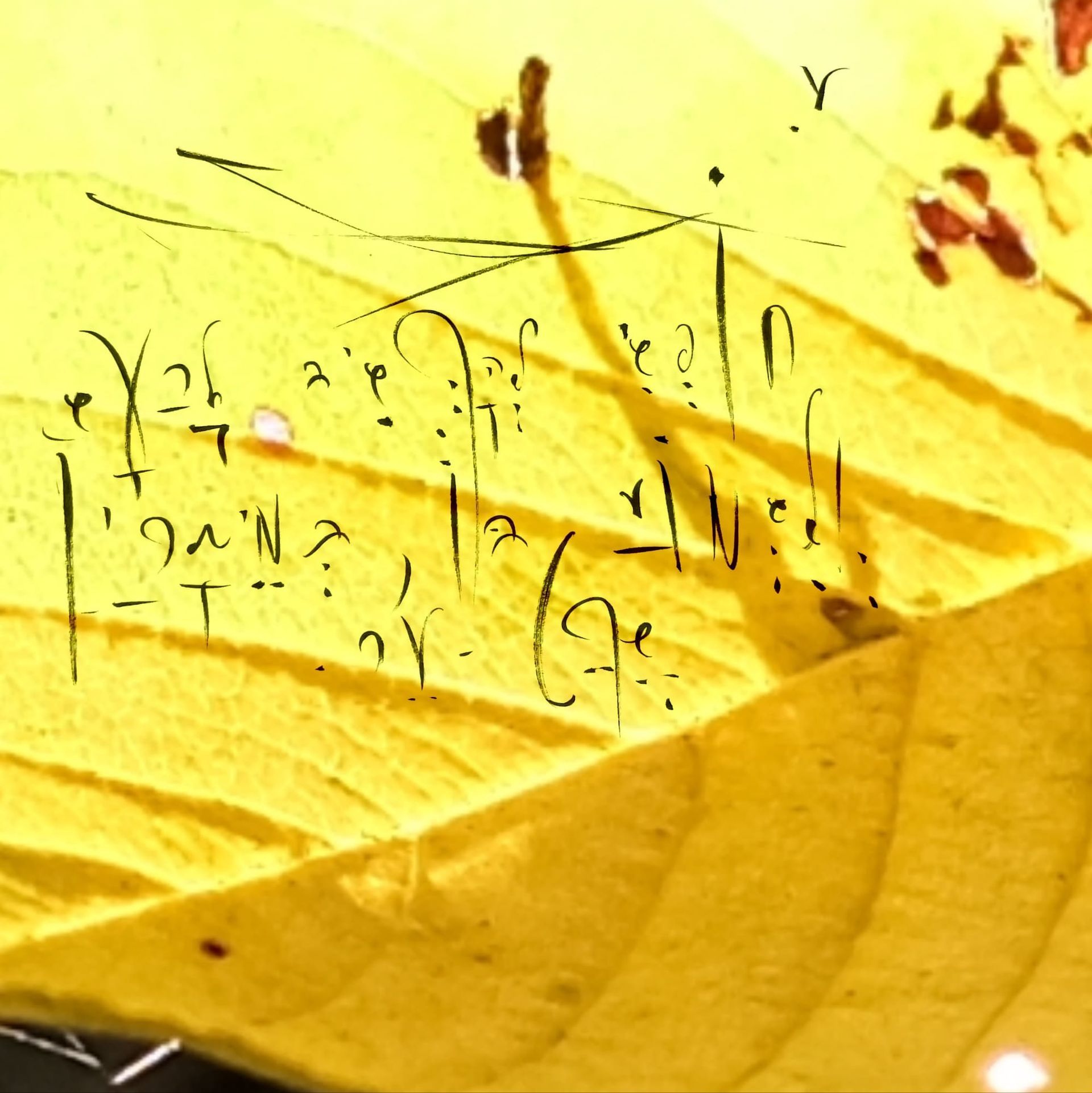 Can you stay with not-knowing?