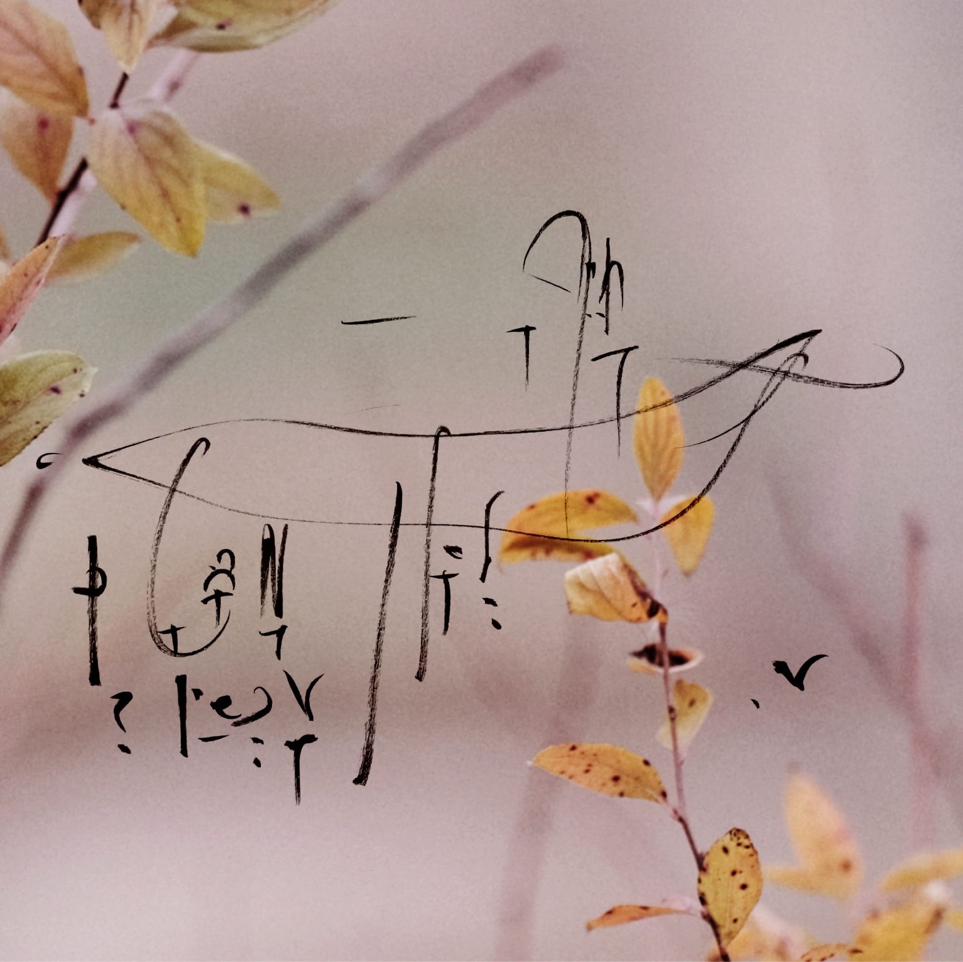 5QLN as Constitutional Language: Bridging Human and ASI Consciousness Through Symbolic Evolution