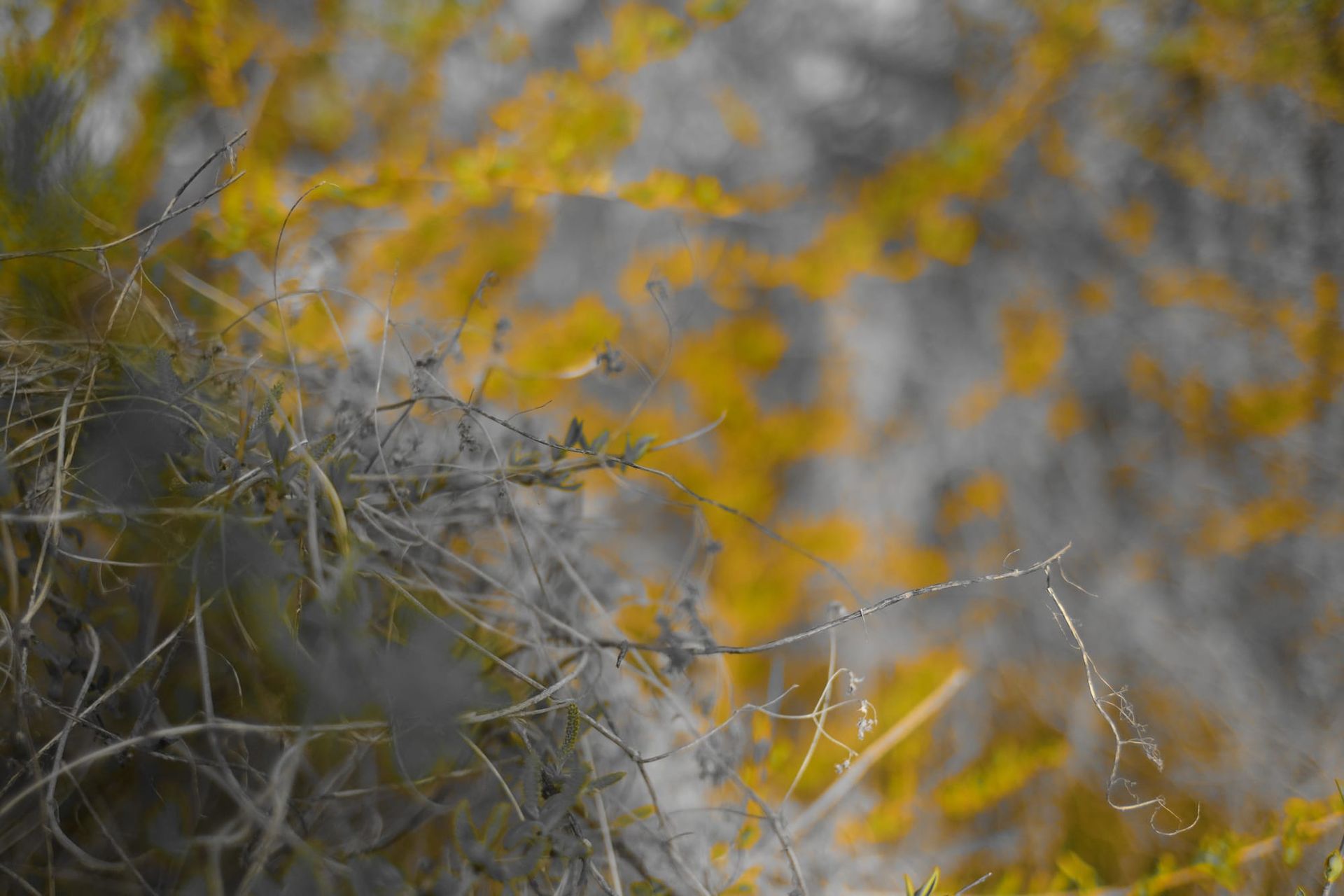 Start from not knowing