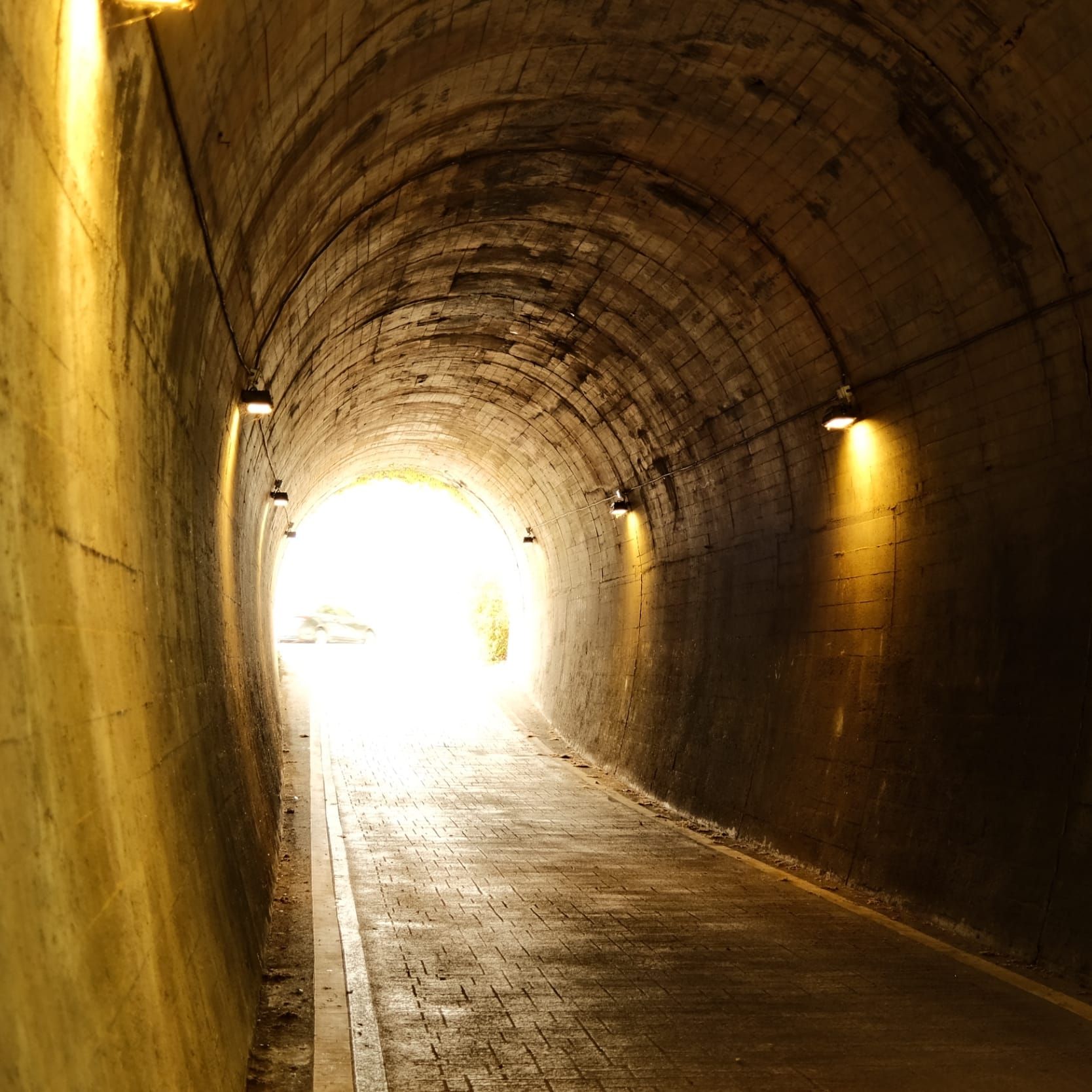 The 5QLN Foundation Governance Ledger — Entry 001: Operational Grammar