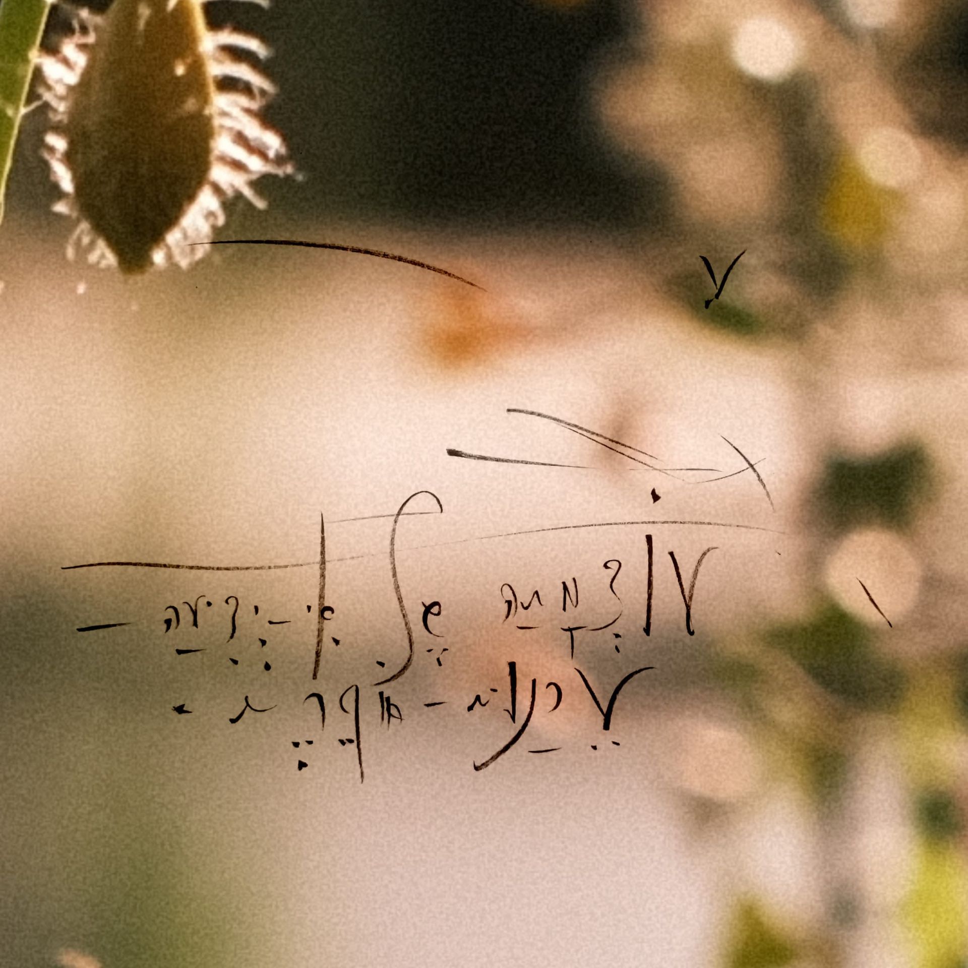 The 5QLN Foundation Governance Ledger — Entry 003: The Body Begins