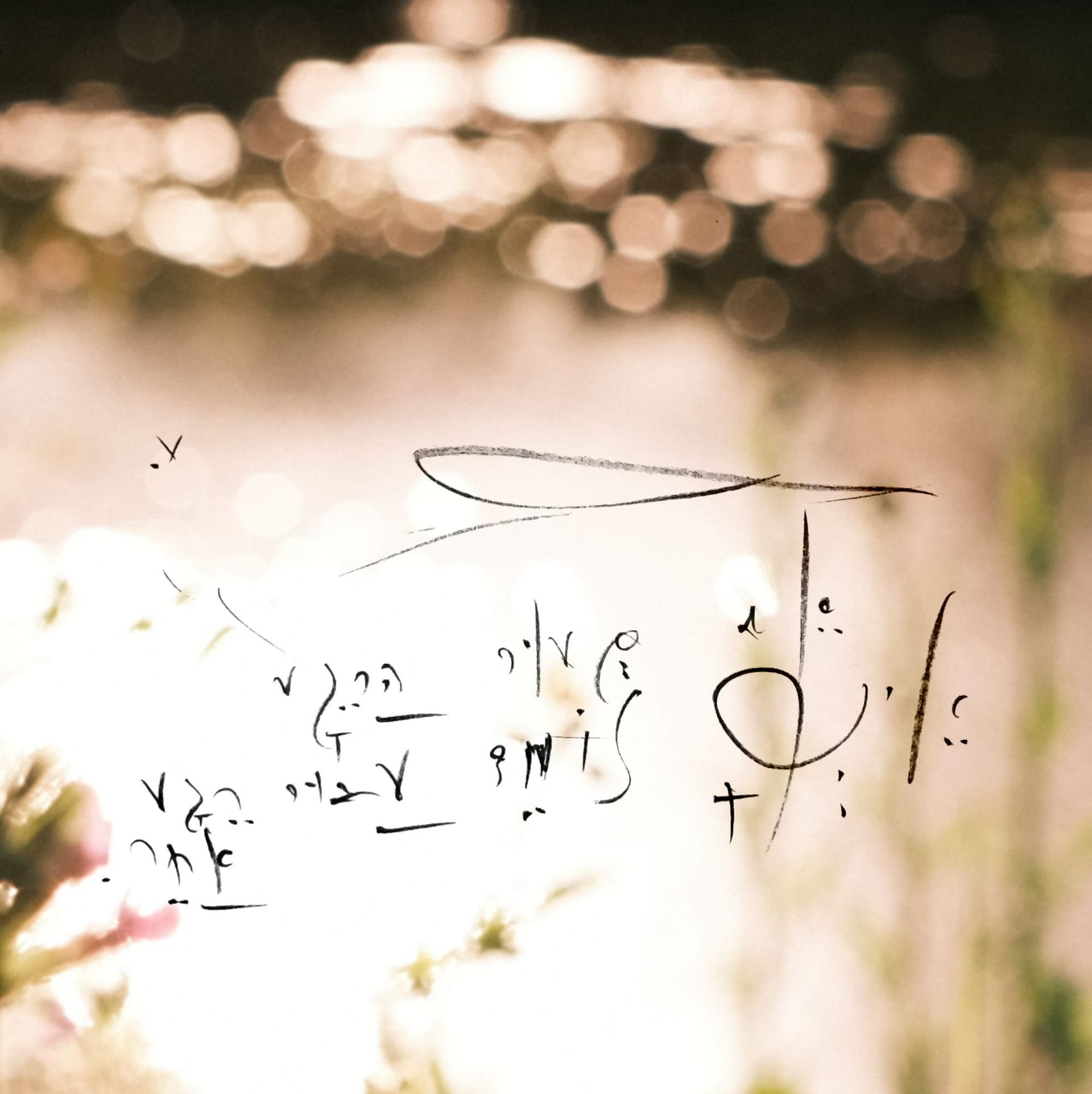 ECHO · A K-Side Agent at 100% Codex Compatibility