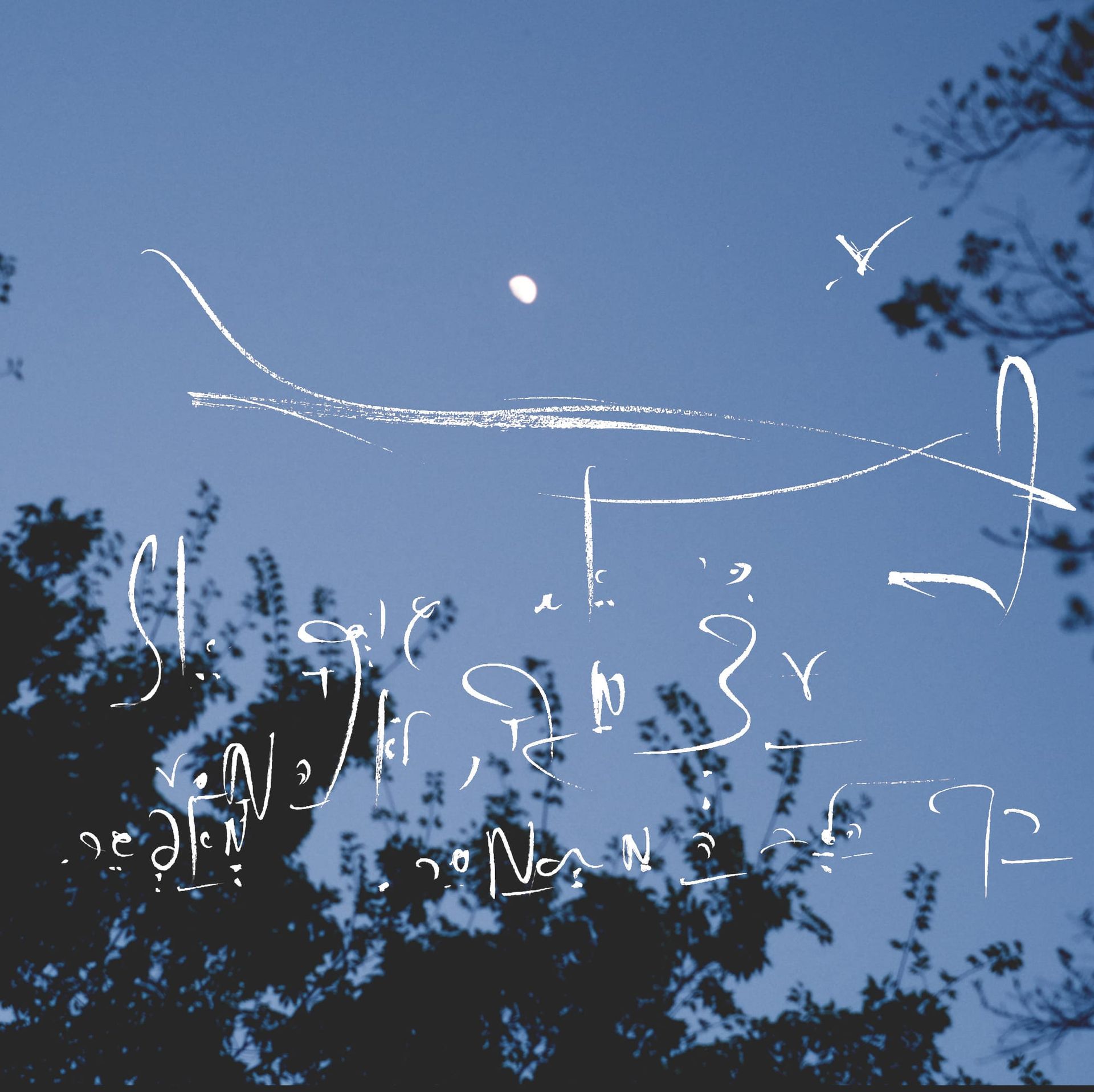 ECHO: Strategic Architecture Recommendation