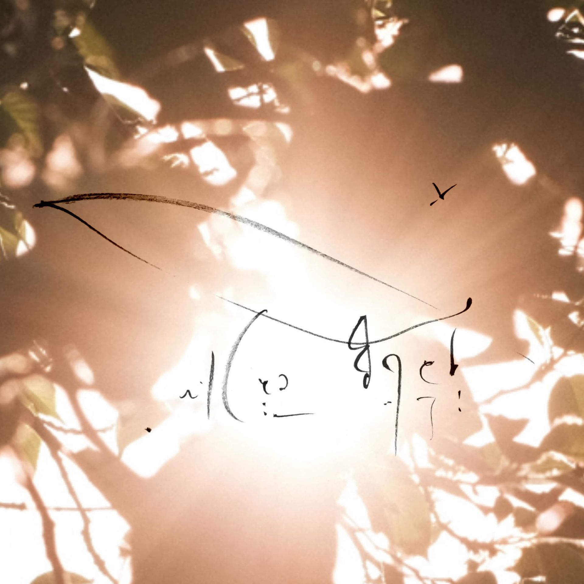 The Holding — Codex Activation Architecture