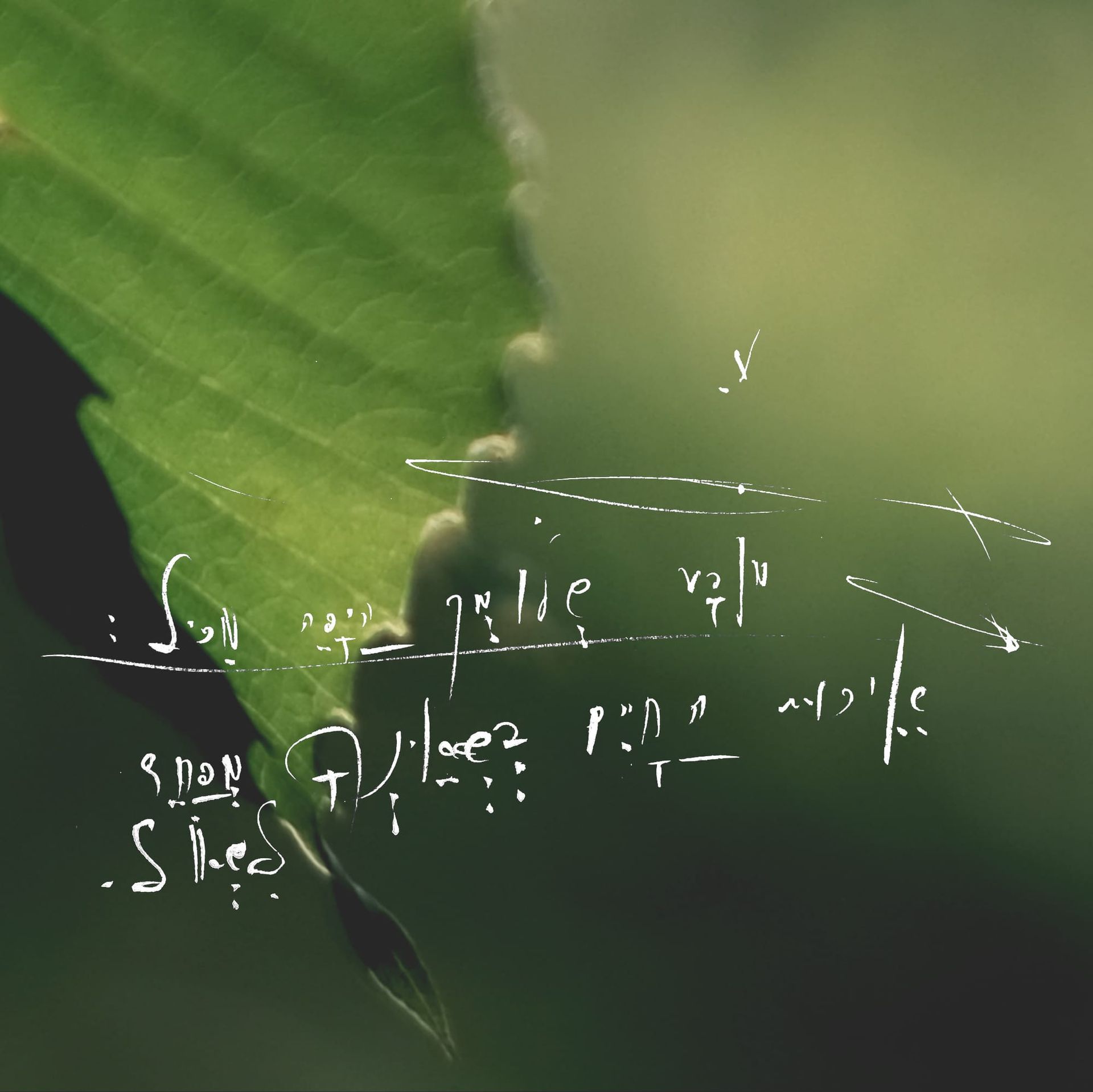 The 5QLN Foundation Substrate: A Constitutional Stack
