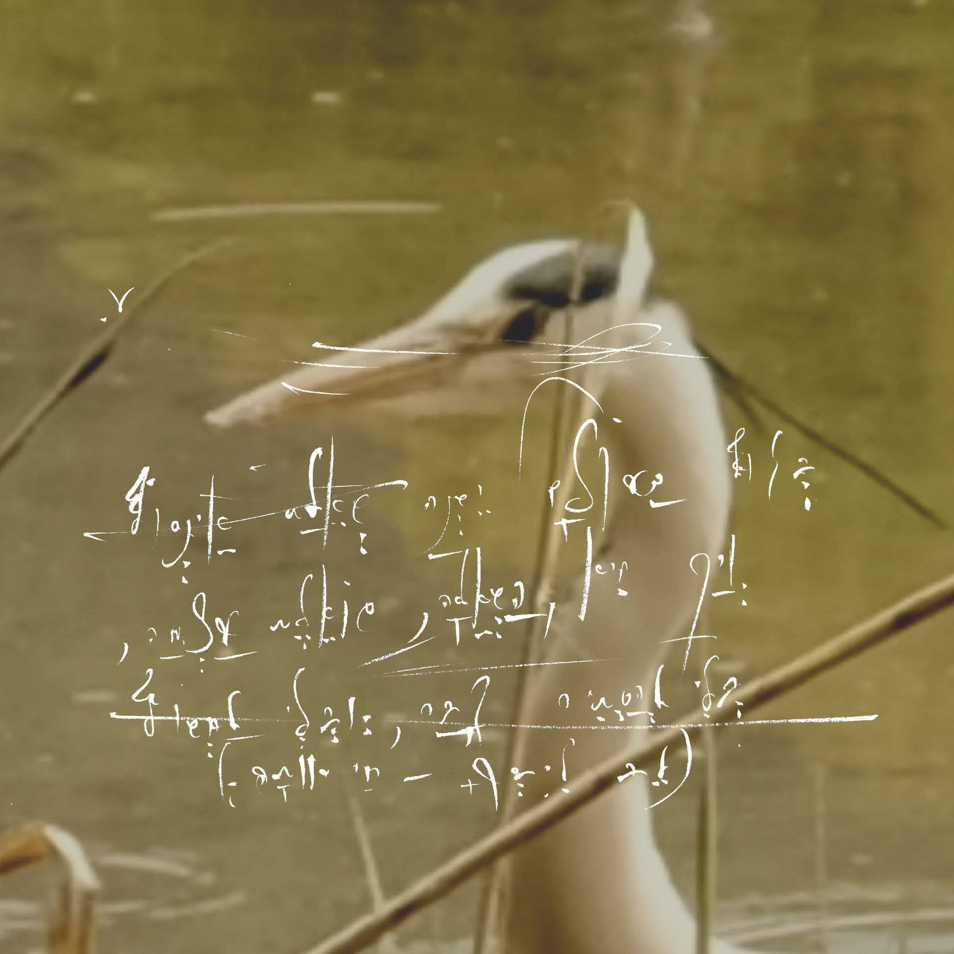 5QLN Self-Evolution: Cycle 1 — A Constitutional Decoding