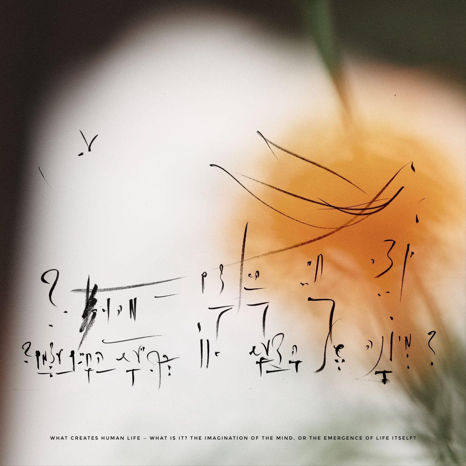 Not knowing - as beauty, learning and happiness