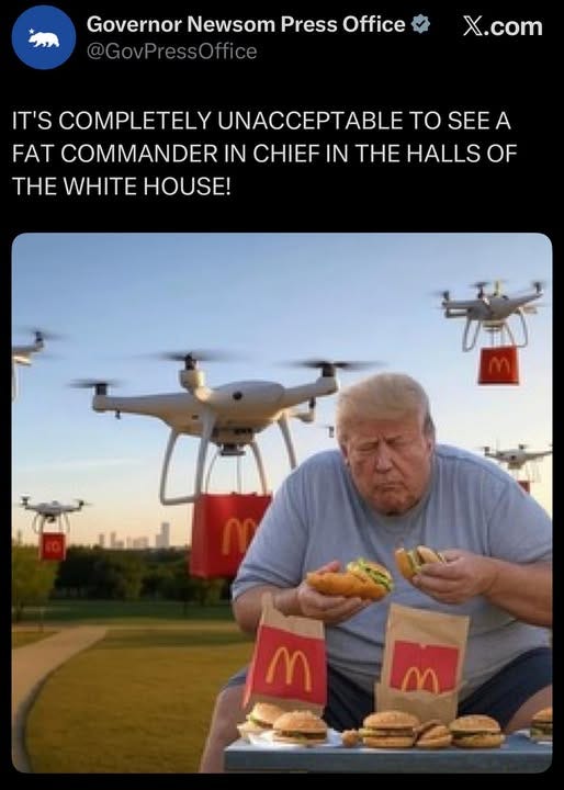 Tweet från Newsom: “ITS COMPLETELY UNACCEPTABLE TO HAVE A FAT COMMANDER IN CHIEF IN THE WHITE HOUSE”. Bilden är på en massa drönare som levererar McDonalds till en tjock och frossande Trump