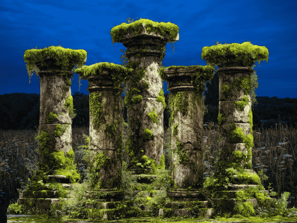 The 5 Pillars of Survival