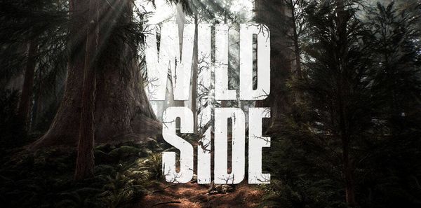 Whatever Happened to Wild Side?