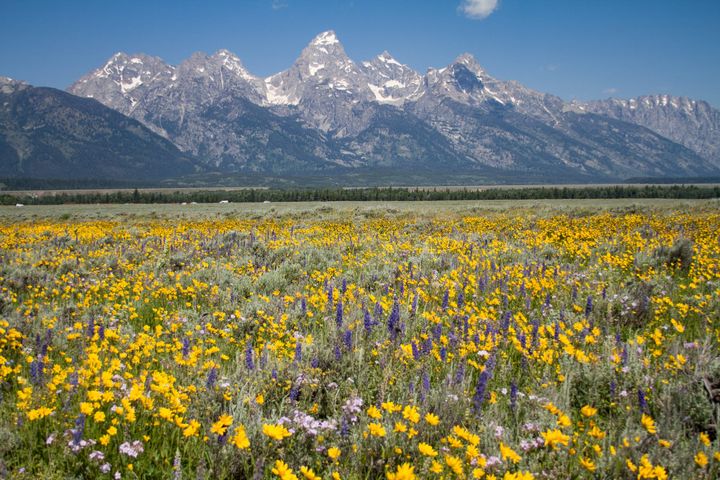 ‘We help hotels become a beacon for outdoor adventure’