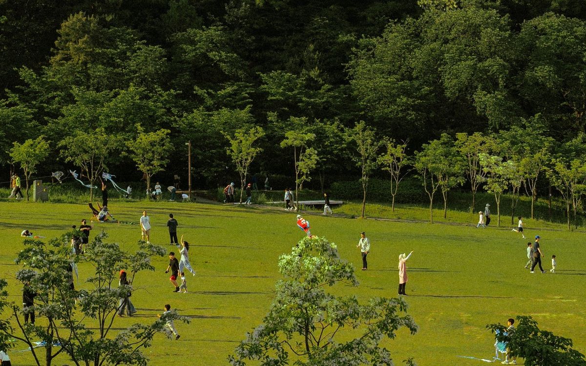 Theo Blog cover image