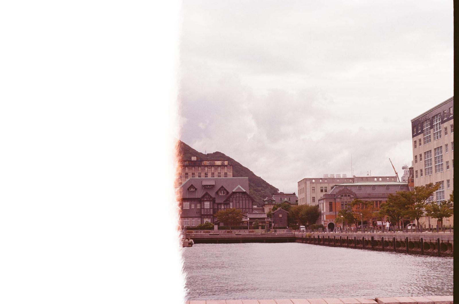 미놀타 X-300와 프로이미지100으로 촬영한 모지코 사진