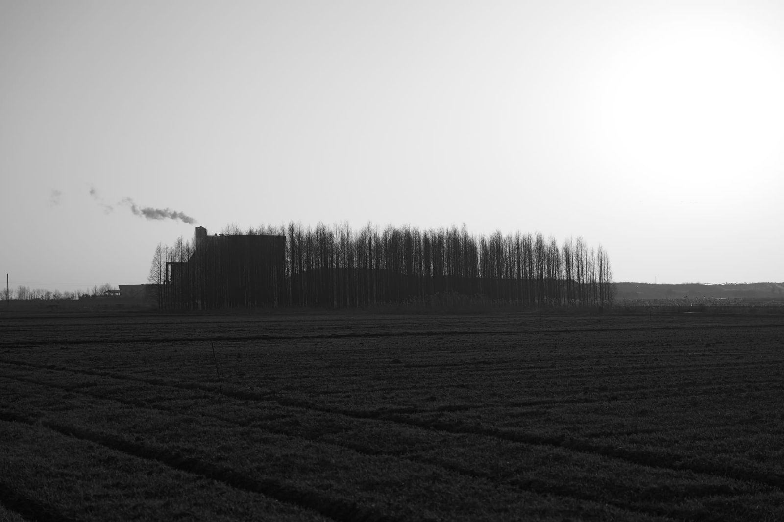 2026년 첫 출사 여행, 시간여행마을 군산(2) post image