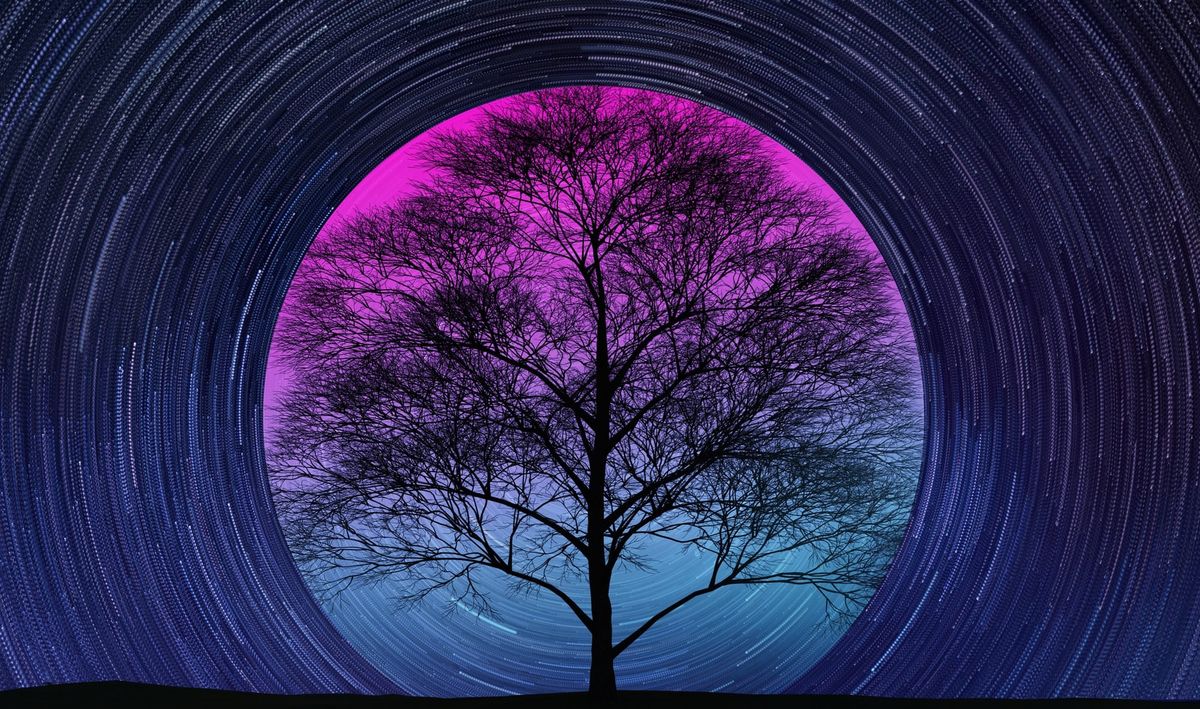 Think Slower Frameworks