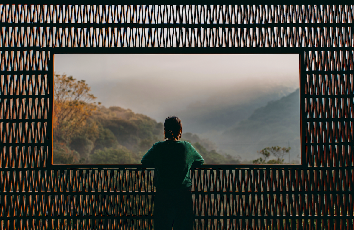 OBSERVE: An introduction to truly paying attention in a world built to distract.