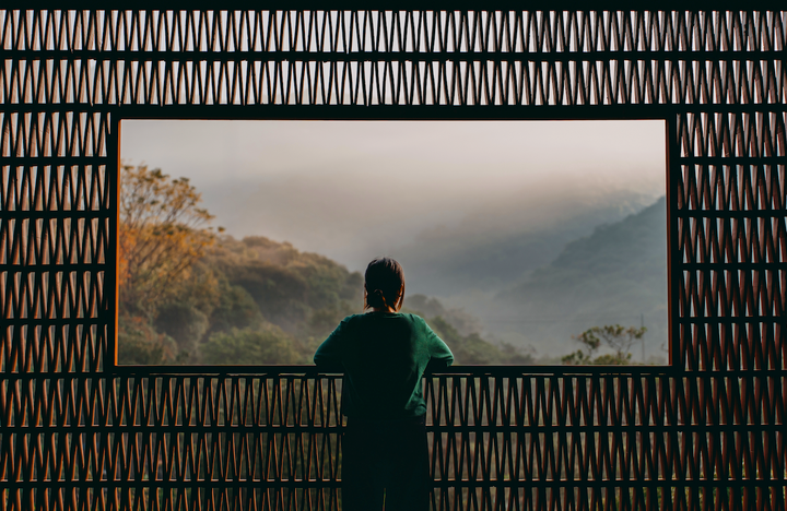 OBSERVE: An introduction to truly paying attention in a world built to distract.