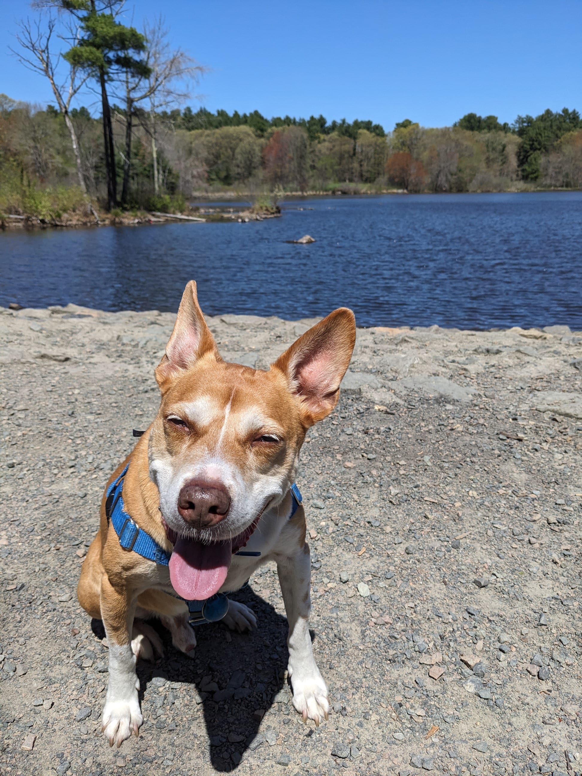 Winn at the pond in Cat Rock Park