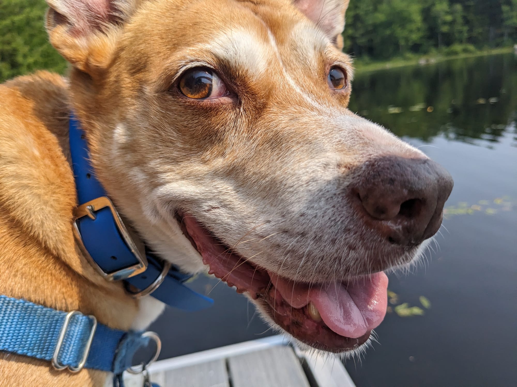 Winn at a lake in New Hampshire this summer.