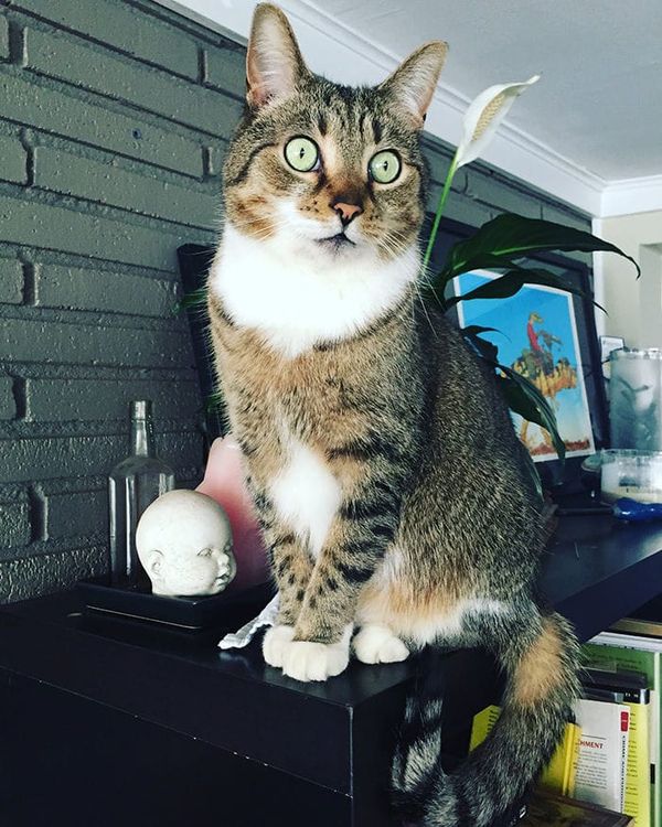 A Wake for Jimmy McNulty