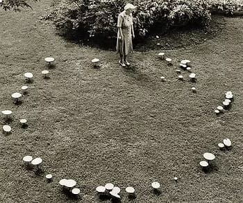 A person stands in the middle of a fairy circle of mushrooms.