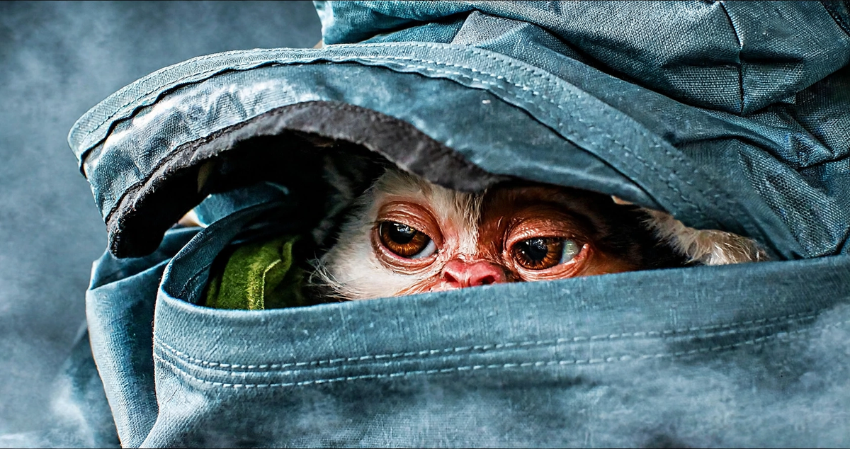 Gremlins 3 is Cancel-Proof in the face of Paramount's Warner Bros. Buy Out