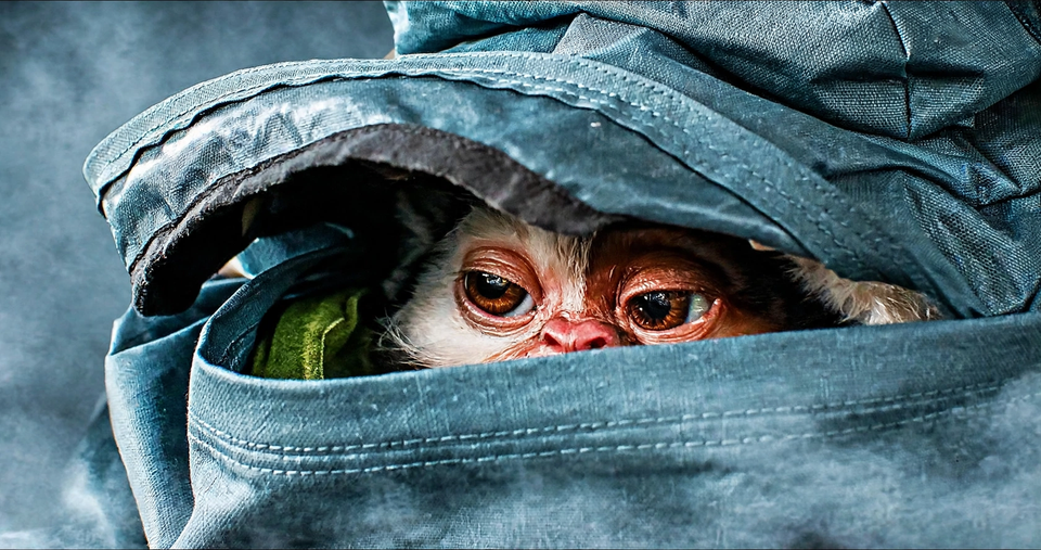 Gremlins 3 is Cancel-Proof in the face of Paramount's Warner Bros. Buy Out