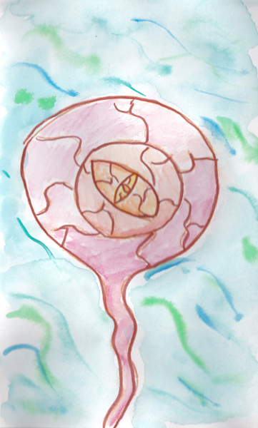 365 Sketch 2015: The All Seeing Eye