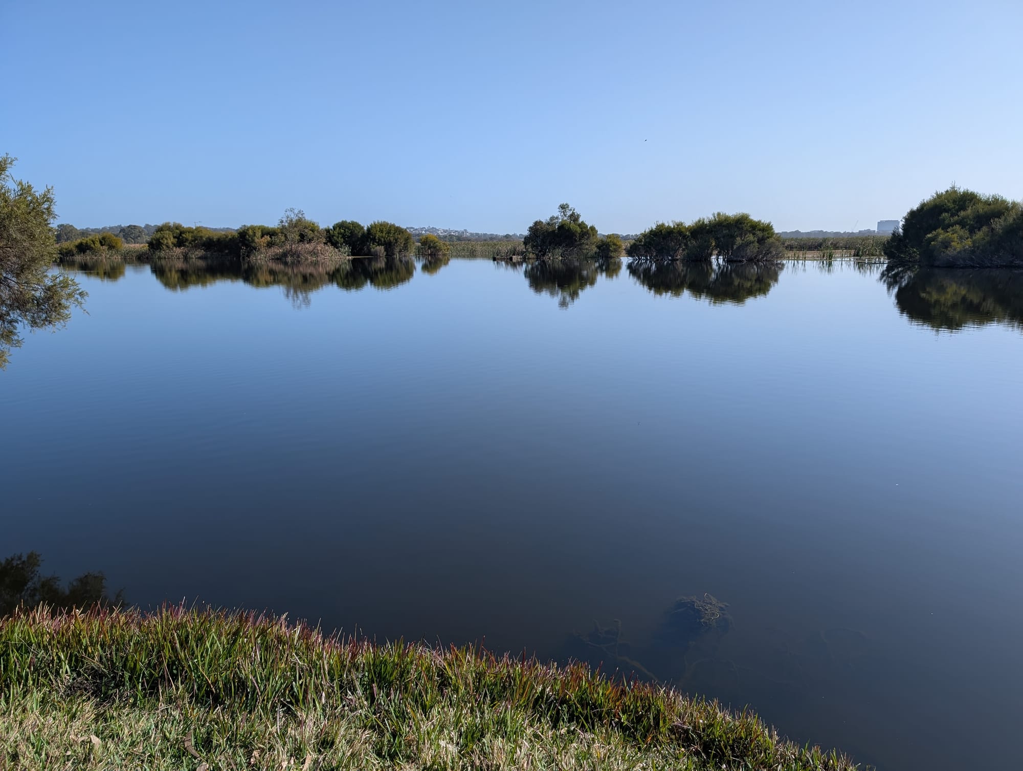 Herdsman Lake view from the southern end, by the Discovery Centre. (c) Kim Lapere