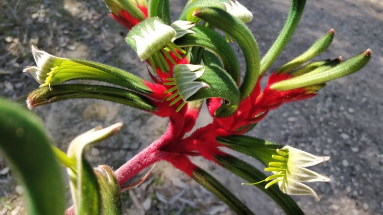 September 2022 - cancelled