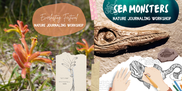 Spring Workshops