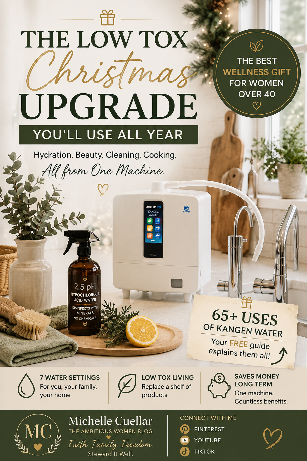 holistic wellness lifestyle affilate marketing detox water hydrogen water low tox kitchen christmas gift ideas best christmas gift wish list financial freedom time freedom make money online work from home health
