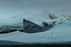 Penguins in Antartica