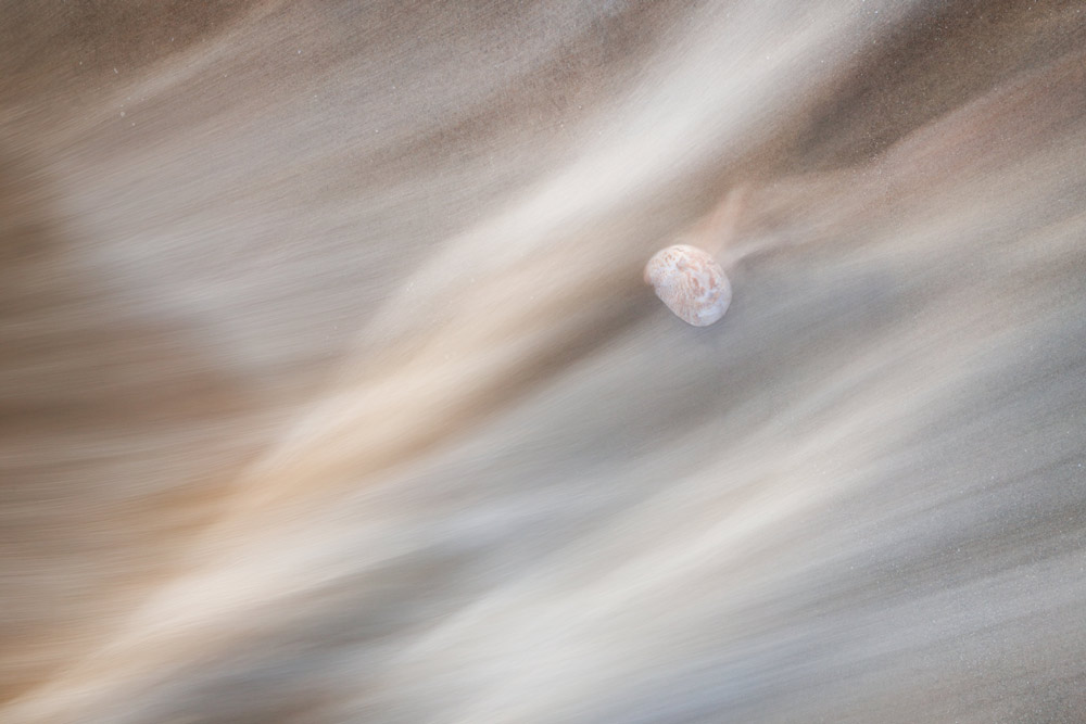 Series Ghosts in Shells by Rachael Talibart