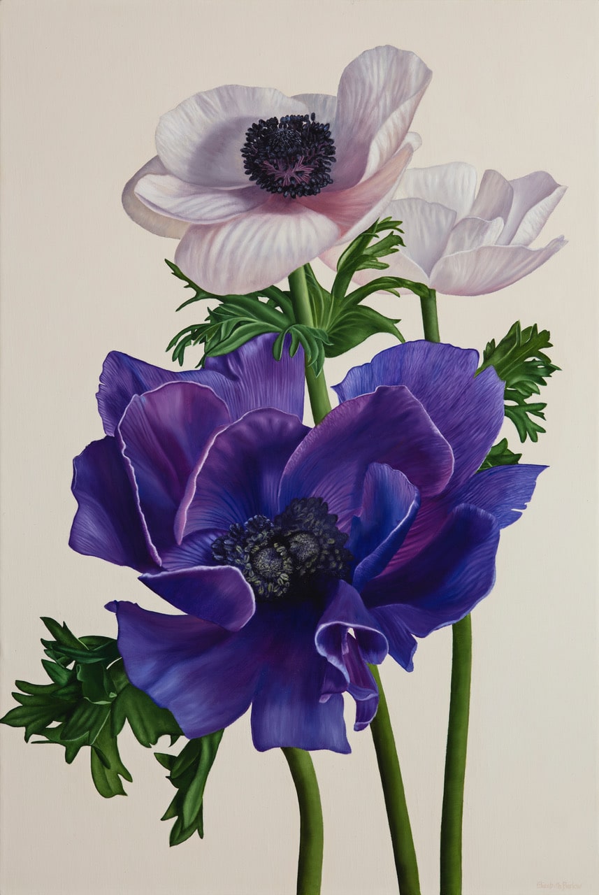 flower painting by elizabeth Barlow