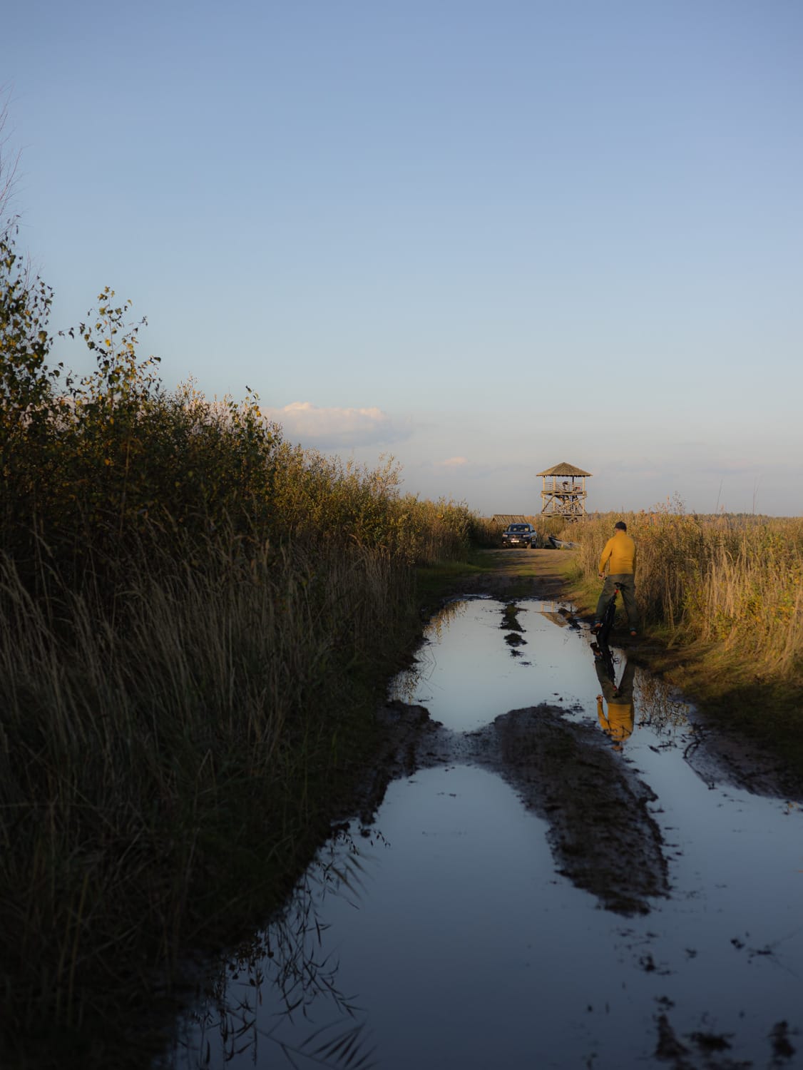 A person walking along the water’s edge in an autumn landscape, with an observation tower in the distance.