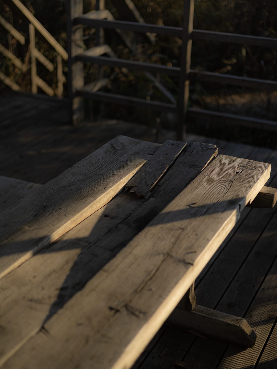 Weathered wooden tabletop outdoors, surrounded by autumn textures and soft natural light.