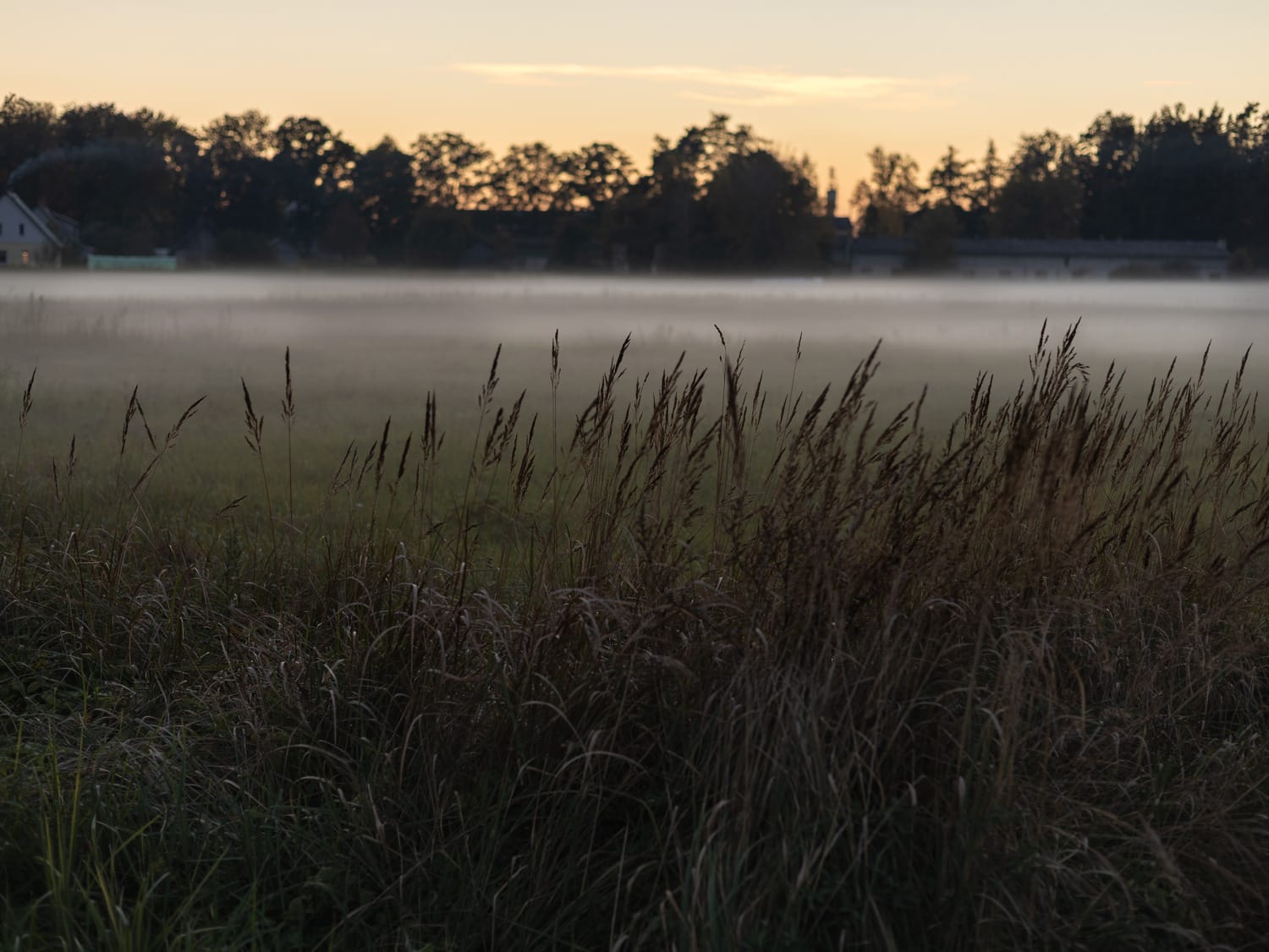 Fog settling over a quiet autumn field and distant landscape in soft grey light.