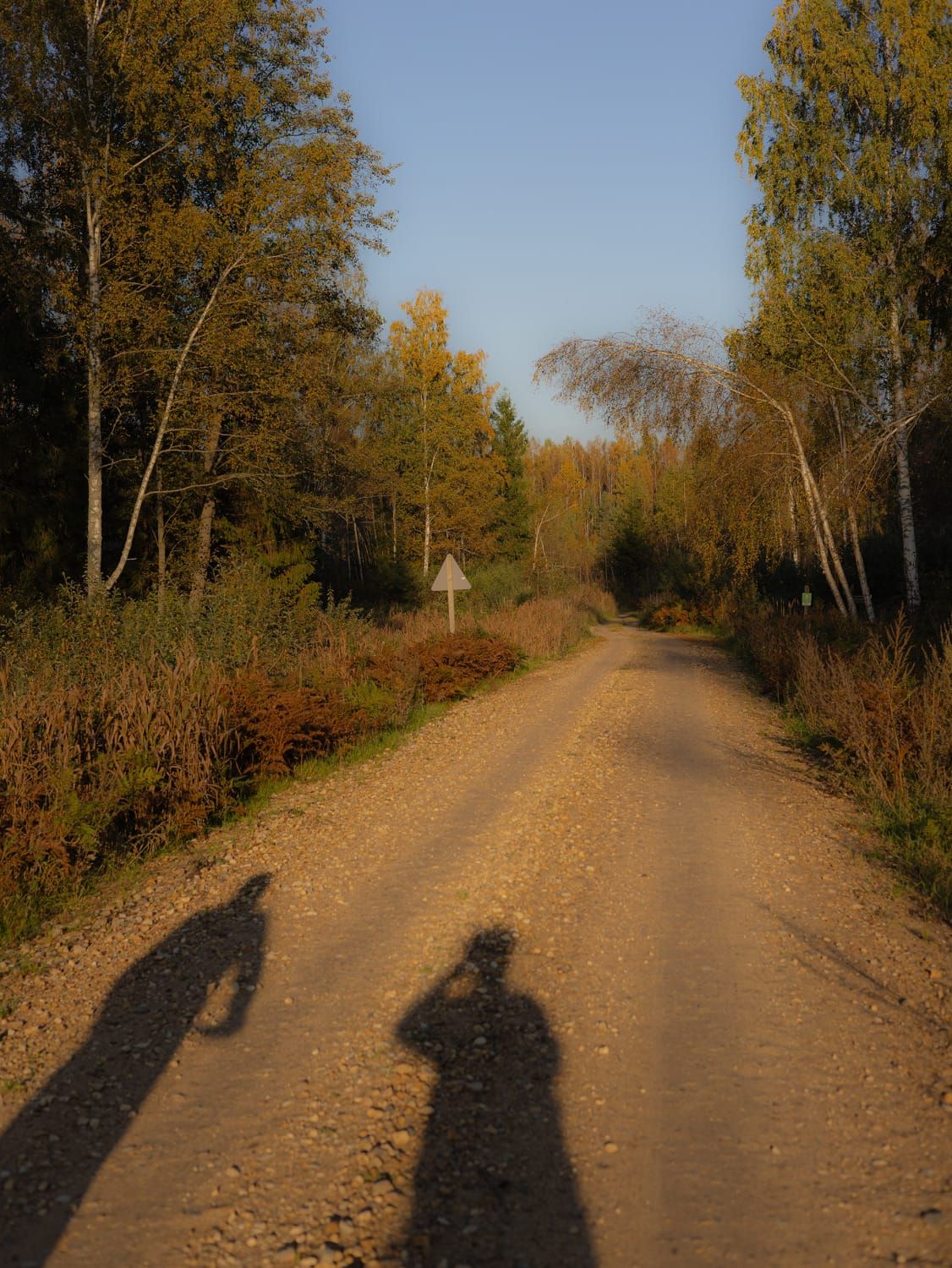 Sunlit wooden path through an autumn landscape with long shadows.
