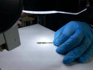 Silchester objects: revisited