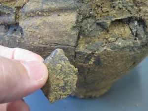 The Oakley Hoard part 1