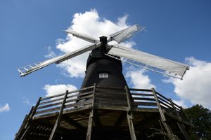 International Women’s Day: Phoebe Langtry