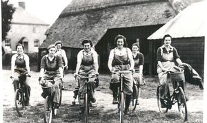 Function, Fashion and Freedom