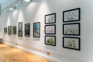 📸 Archive Dive: World Photography Day