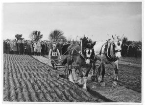 Data Hunters and Story Gatherers: Arthur Walter ‘Jack’ Pearce (1892-1975)