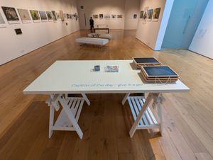 Funniest captions at the Comedy Wildlife Photography Awards