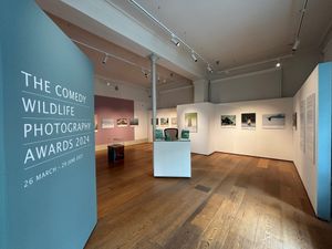 Protecting wildlife: one smile at a time